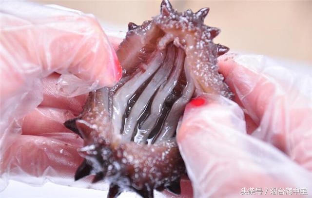 破坏海参营养的做法 千万要避过