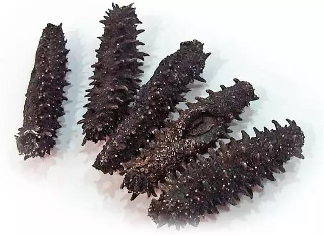 如何鉴别海参 海参是越轻越好吗