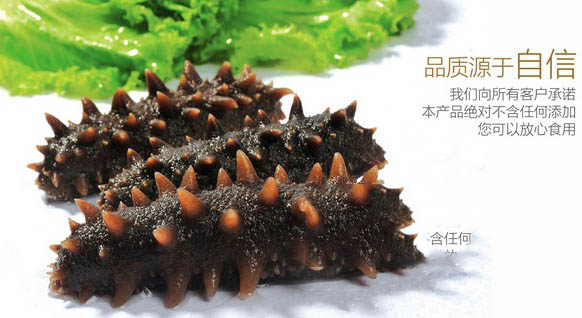 海参的保质期及最佳保存方法