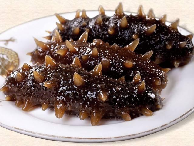 听海参专家讲解海参大小的奥秘