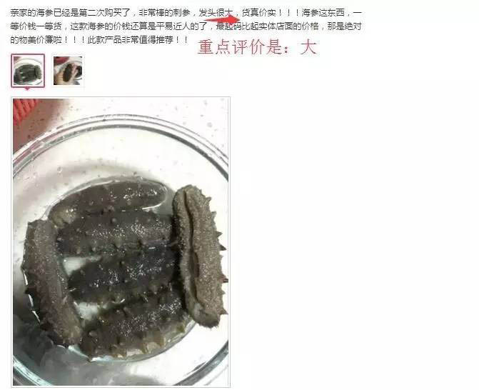 揭秘淘宝销量高价格超低海参的行业秘密