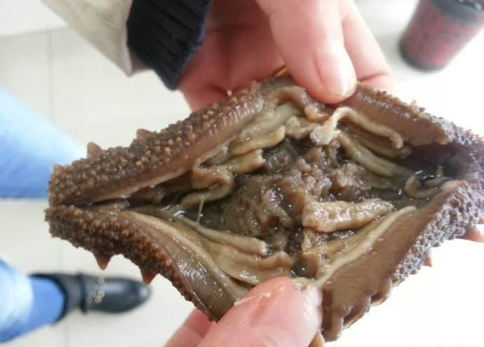 劣质海参内筋含火碱发黄