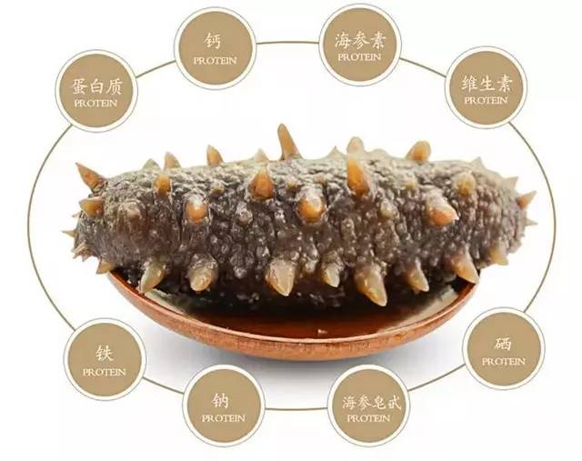 孕妇吃海参2.jpg 孕妇吃海参2.jpg