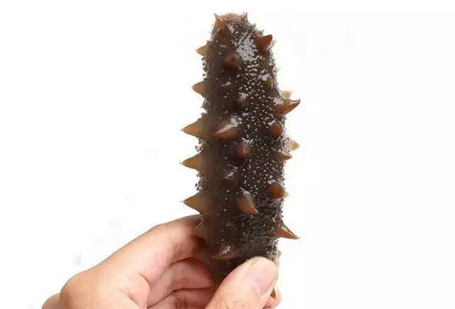 孕妇吃海参5.jpg 孕妇吃海参5.jpg