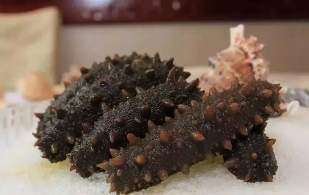 海参的药用价值