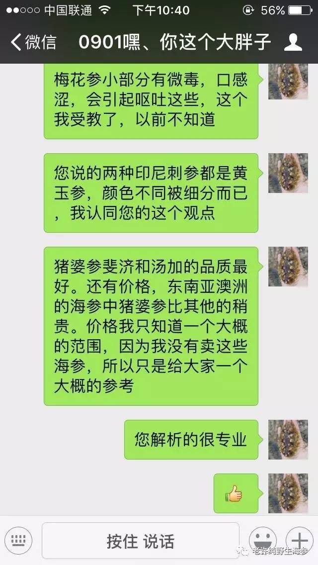 最全面的养殖方式介绍 野生和养殖海参的区别