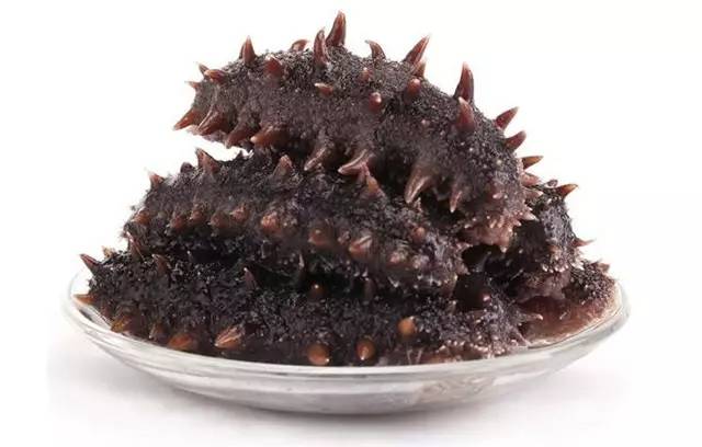 即食海参1.jpg