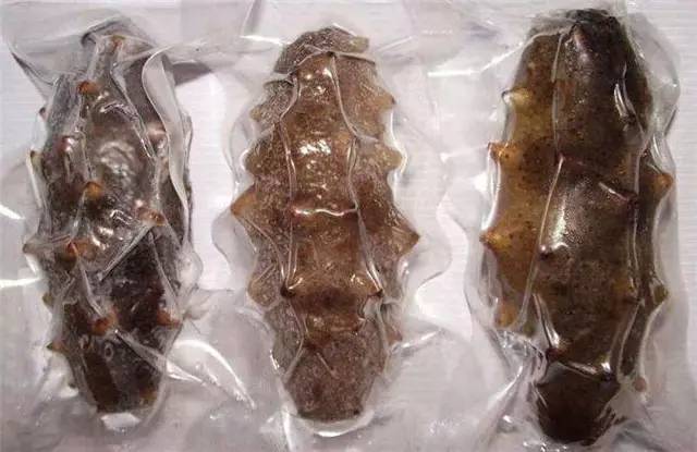 即食海参4.jpg