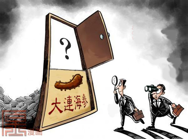 2019年福建海参大连海参销售对比