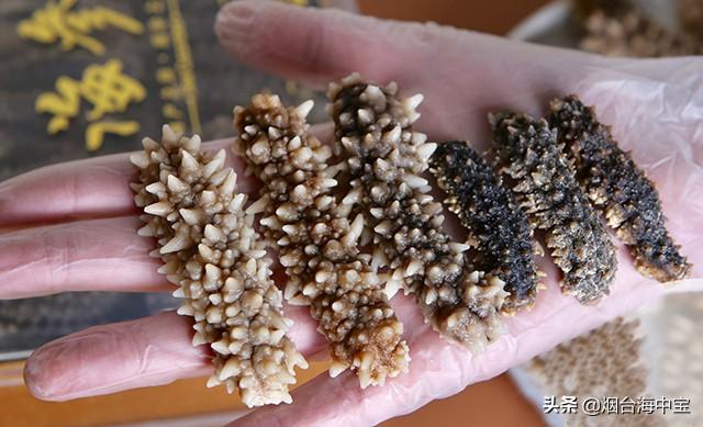 干海参泡发步骤