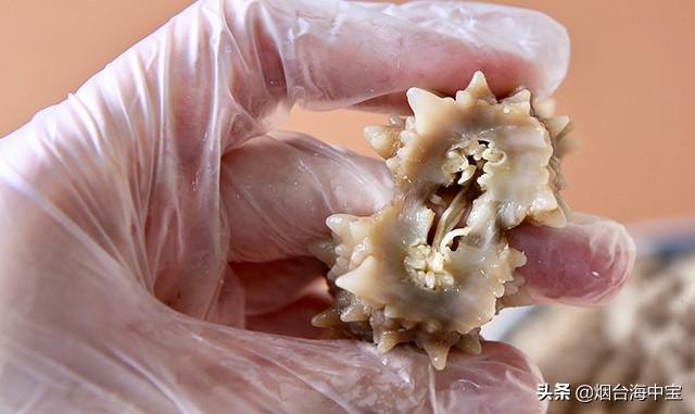 干海参泡发步骤