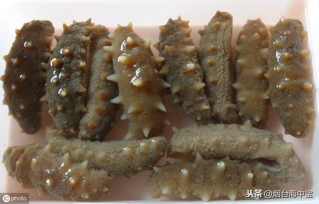 干海参泡发步骤