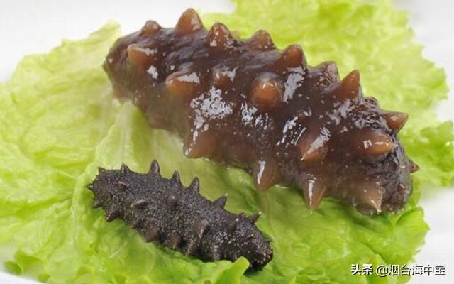 干海参泡发步骤