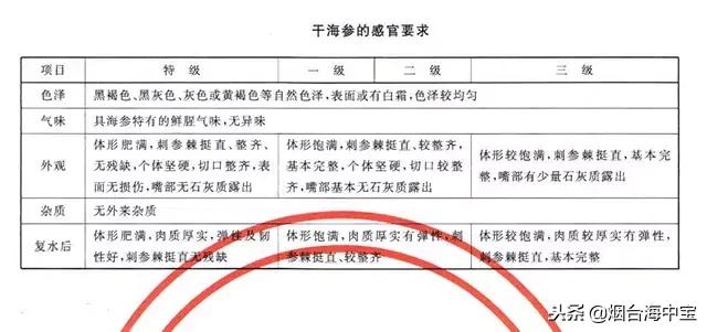 干海参国家标准是怎么规定的？好海参的标准要看这些