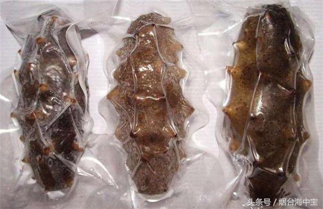 即食海参和干海参 哪个好？