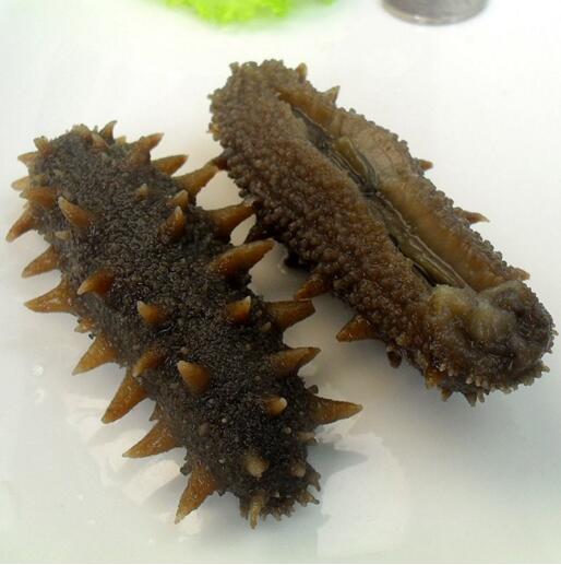 大连正宗海参大概多少钱