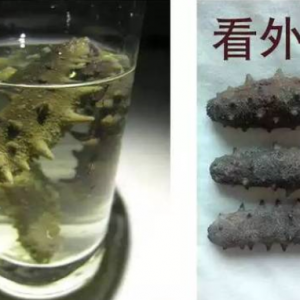 端午节将至，这两种海参礼盒不要买