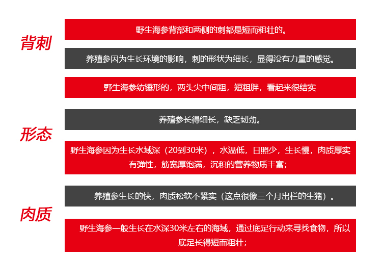 一位资深海参从业者给大家讲解海参价格的内幕以及海参的鉴别！