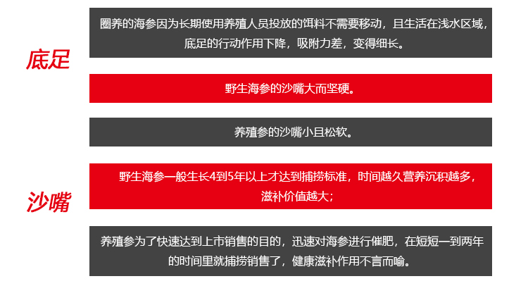 一位资深海参从业者给大家讲解海参价格的内幕以及海参的鉴别！