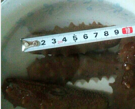 如何挑选好干海参的方法