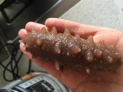 海参颜色越深越有营养？