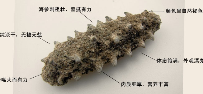 干海参盐分须小于40%