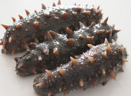 半干海参和即食海参哪个好