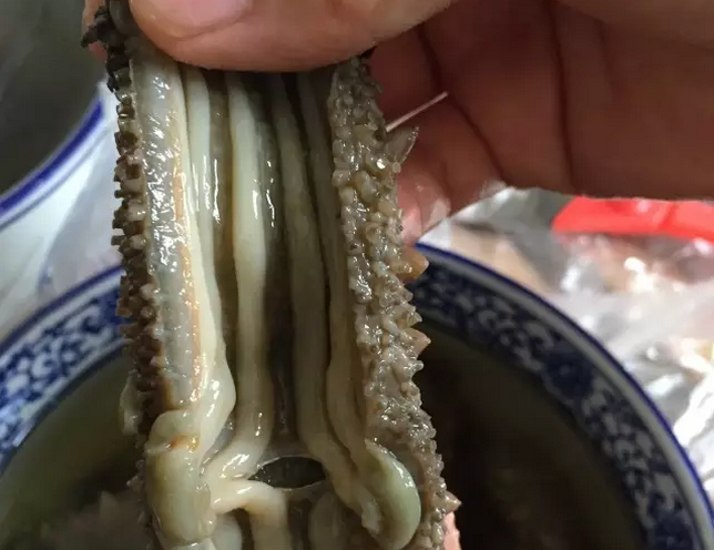 市场上出售的海参分类