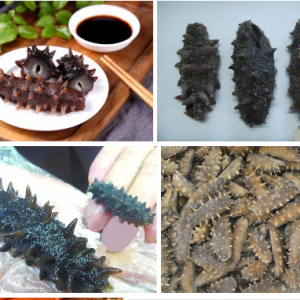 节后海参价格保持上涨成定局