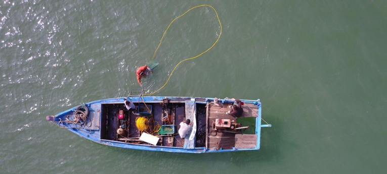 影响海参价格主要因素还是海参的品质