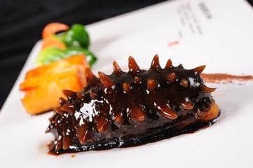大连野生海参价格多少钱一斤