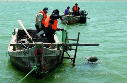 17年海参价格持续高走