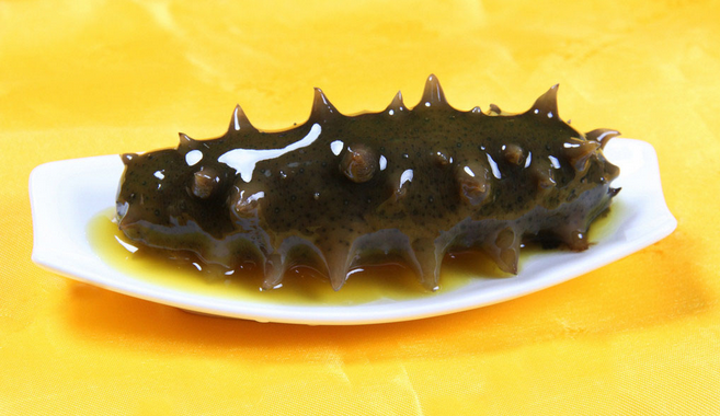 海参价值不同 来自饮食文化差异