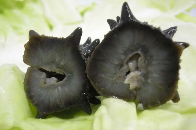 即食海参价格