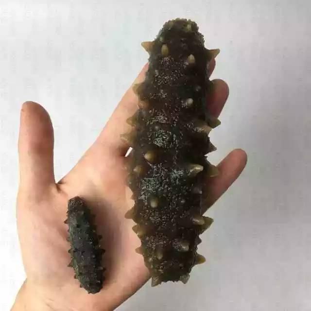 介绍海参的六种做法，附干海参泡发的详细步骤