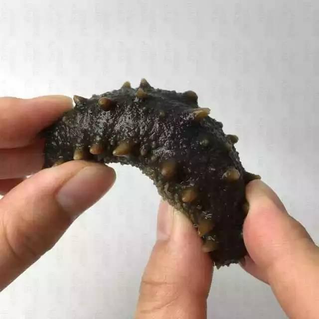 介绍海参的六种做法，附干海参泡发的详细步骤