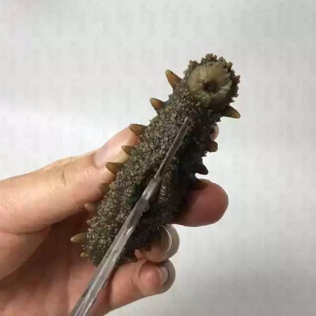 介绍海参的六种做法，附干海参泡发的详细步骤