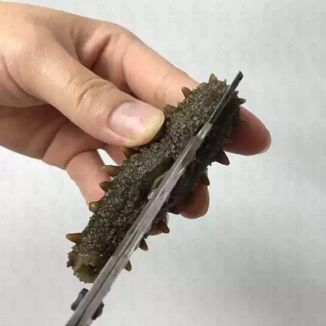 介绍海参的六种做法，附干海参泡发的详细步骤