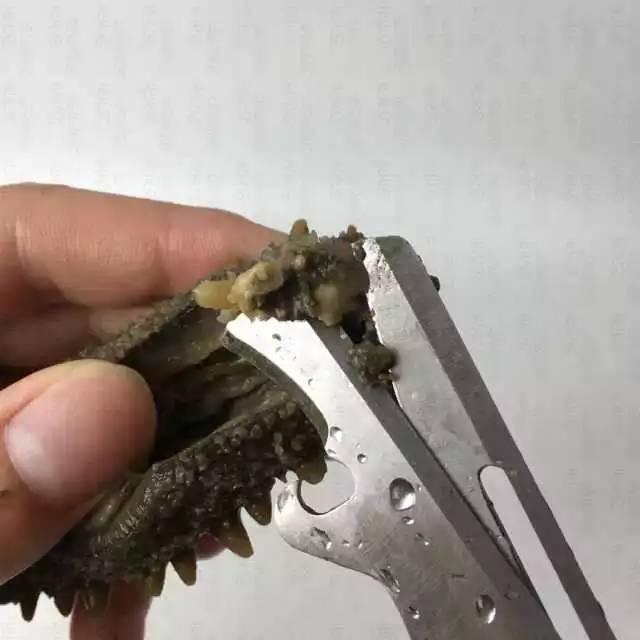 介绍海参的六种做法，附干海参泡发的详细步骤