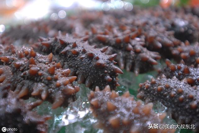 酸辣花枝海参的做法，酸辣花枝海参的做法，酸辣花枝海参的做法