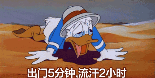 海参最新做法，直接收获海参汤！