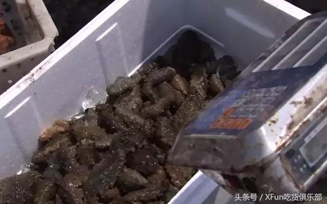 海参最新做法，直接收获海参汤！