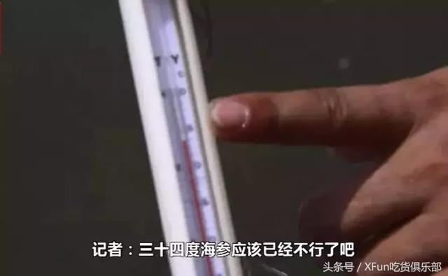 海参最新做法，直接收获海参汤！