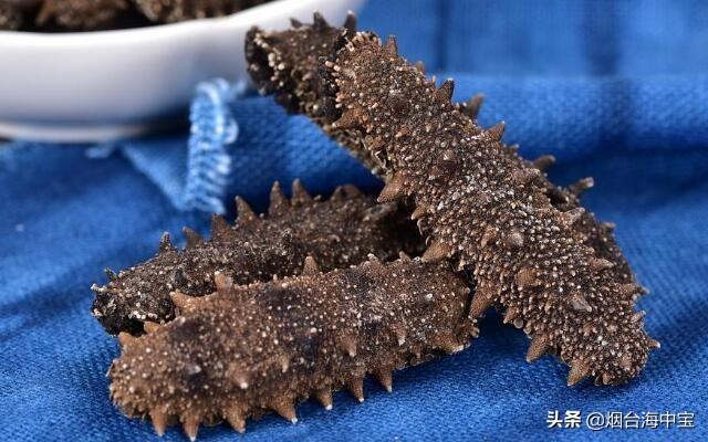 海参营养美味做法简单，这几道海参菜一学就会
