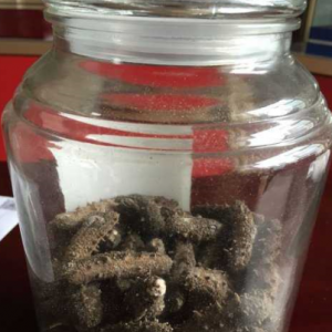 还在这样做？海参发霉丢掉太可惜了！