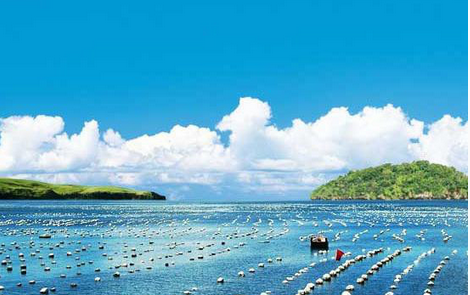 海参消毒剂