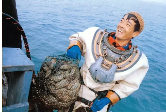 野生海参的特性