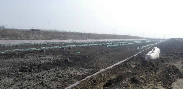 养殖户管理海参圈要慎防“聚毒层”