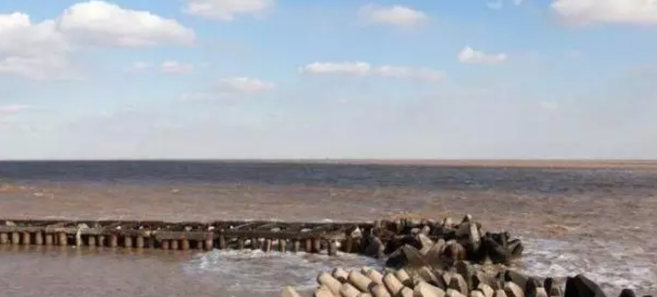 高温期海参养殖应该注意什么