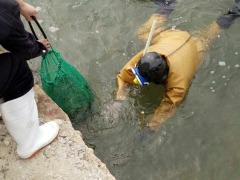 海参出礁早准备工作怎么搞